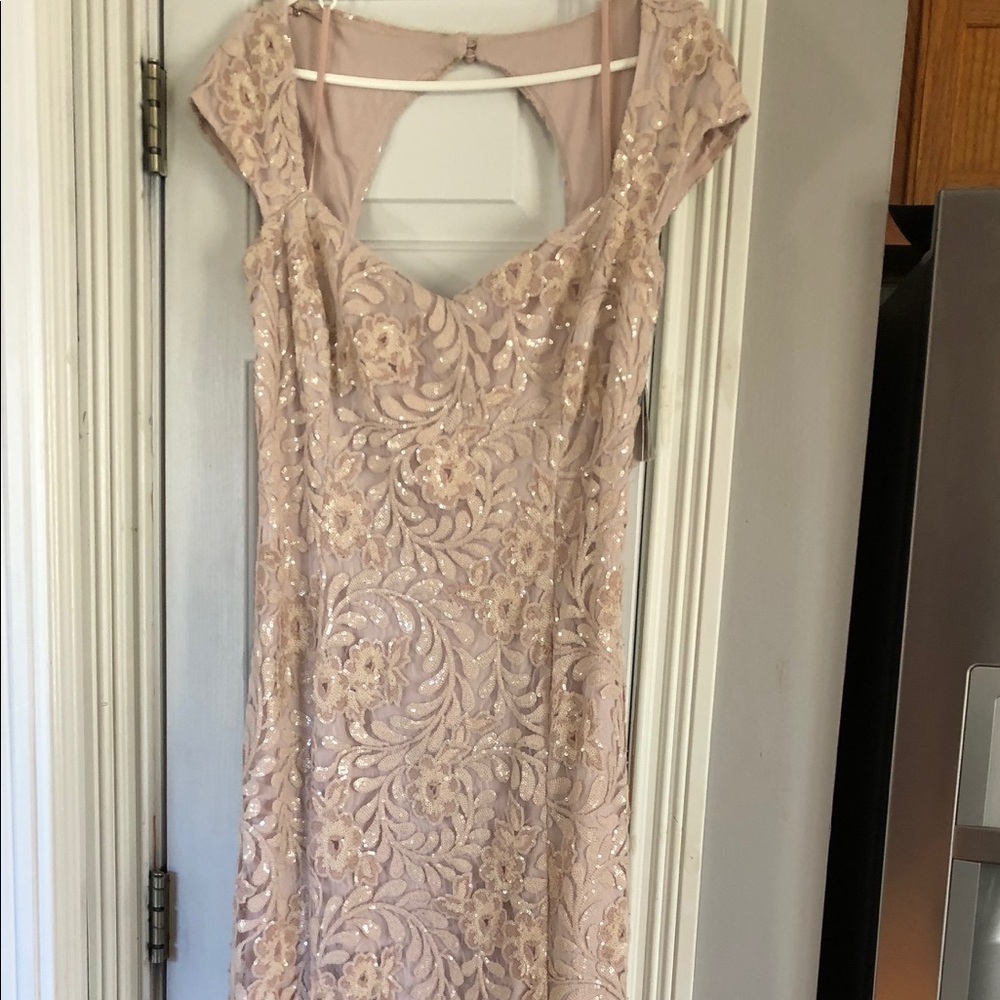 Ralph Lauren Blush formal dress.